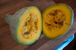 How to Grow Hubbard Squash