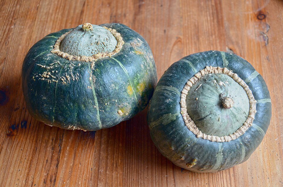 How to Grow Buttercup Squash
