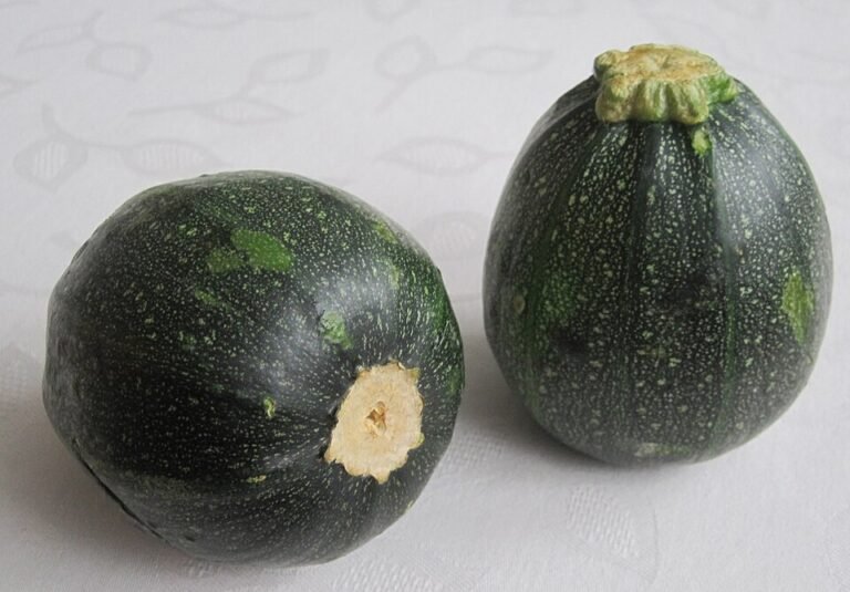 How to Grow Round Squash