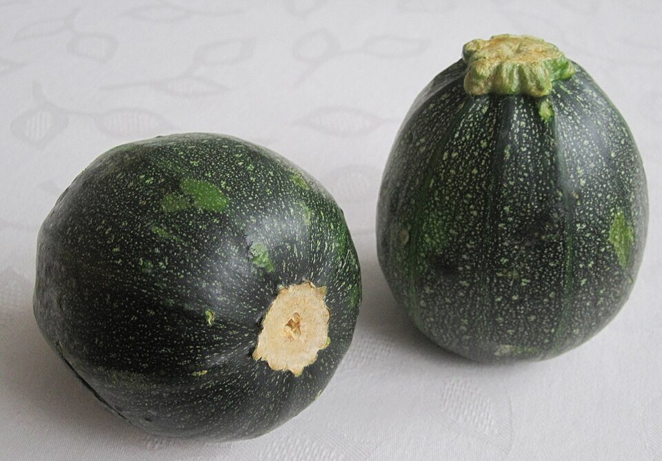 How to Grow Round Squash