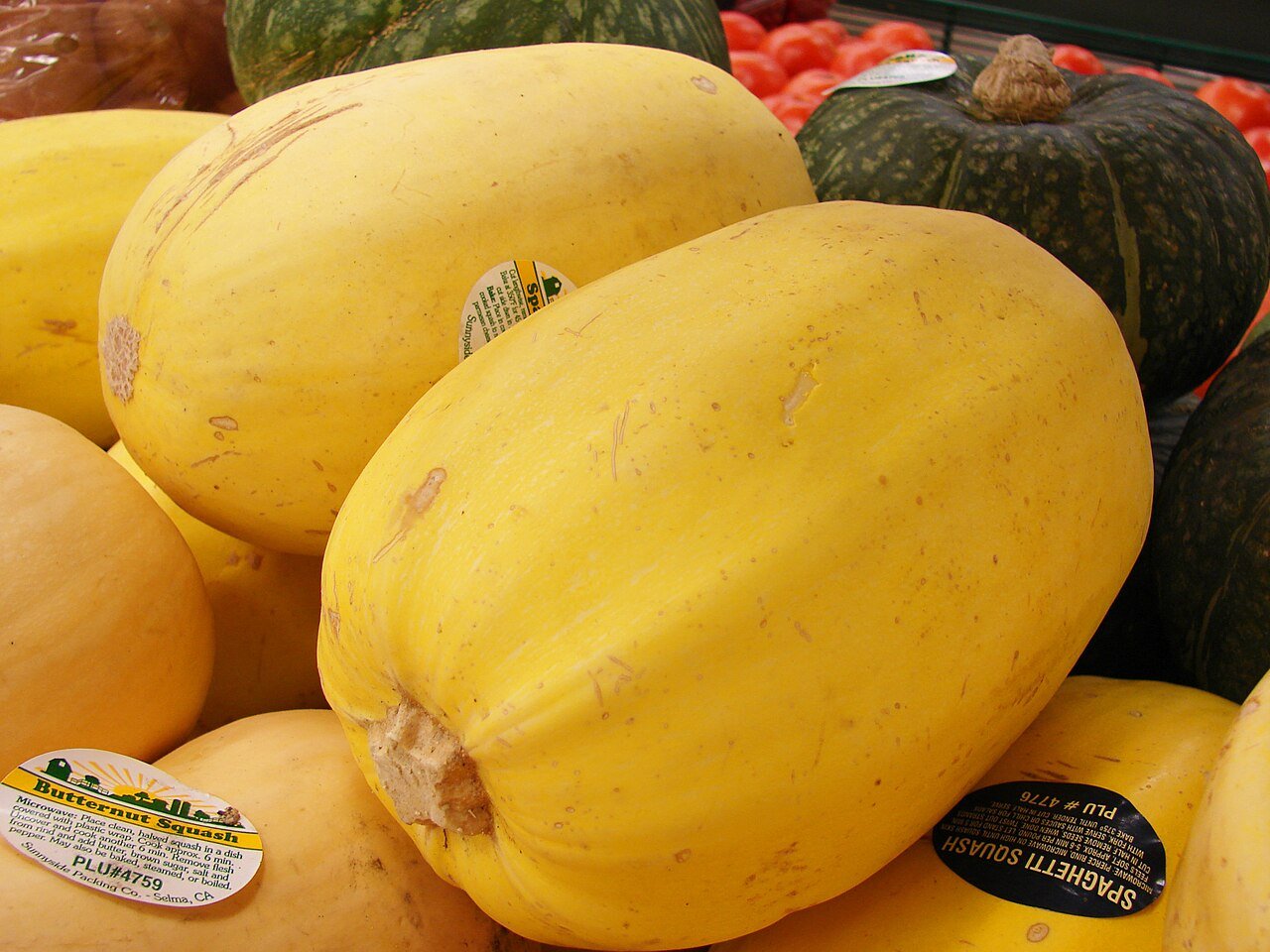 How to Grow Spaghetti Squash