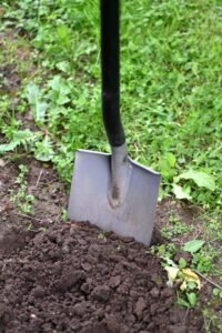 How to Test Garden Soil