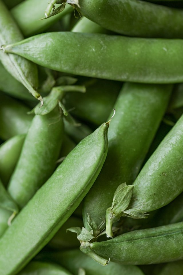 How to Grow Green Peas