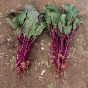 beets all tops no bottoms