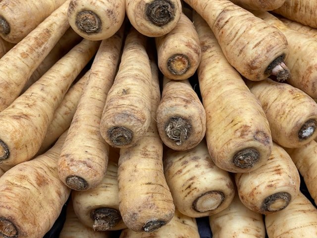 How to Grow Parsnips