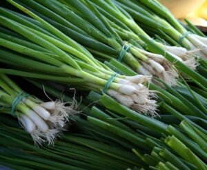 How to Grow Leeks