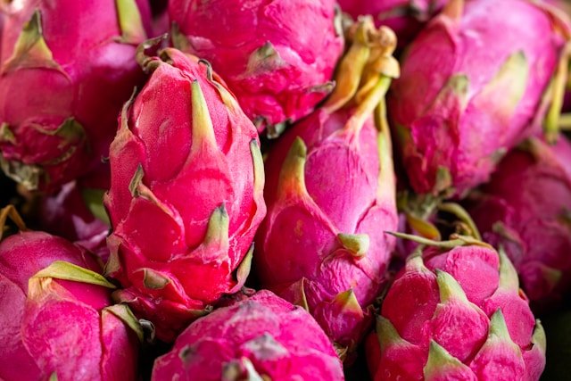 How to Grow Dragon Fruits