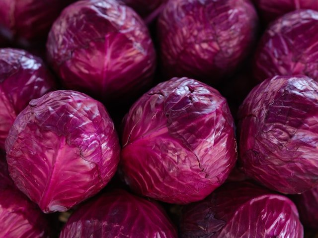 How to Grow Purple Cabbage