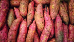 How to Grow Sweet Potatoes