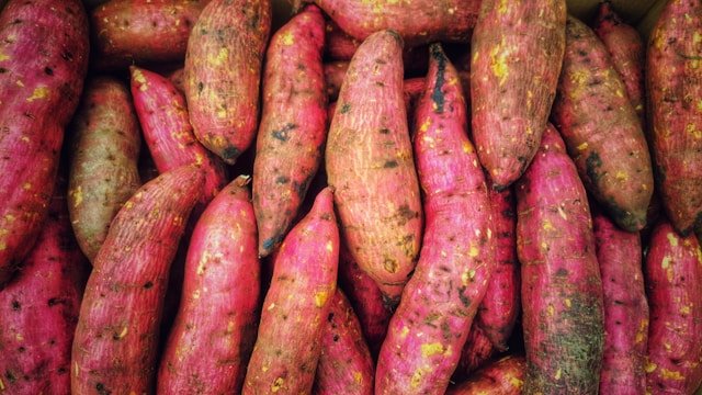How to Grow Sweet Potatoes