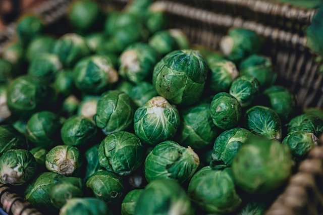 How to Grow Brussels Sprouts