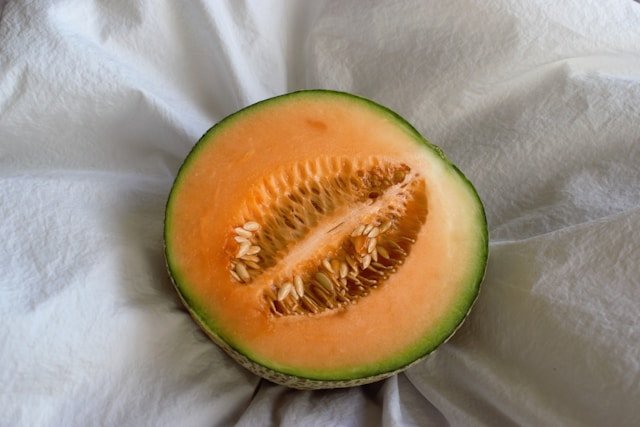 How to Grow Cantaloupe