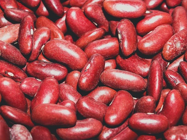 How to Grow Kidney Beans