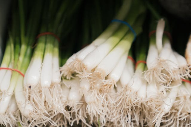 How to Grow Scallions