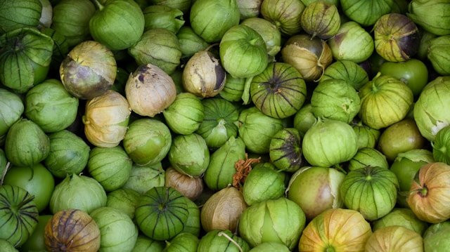 How to Grow Tomatillos