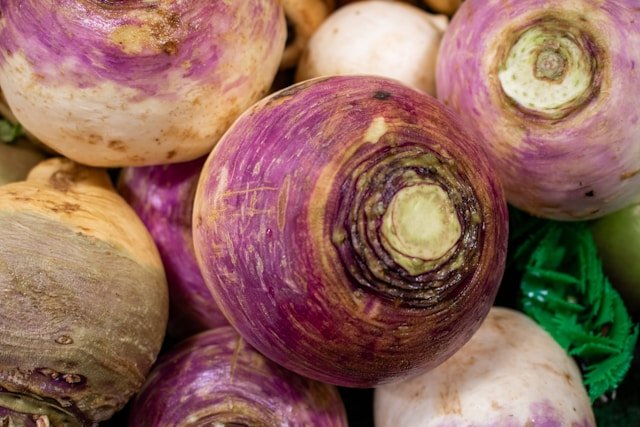 How to Grow Turnips
